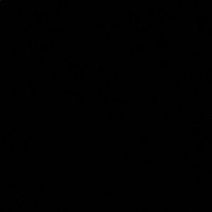 Meet your Posher, Sidney